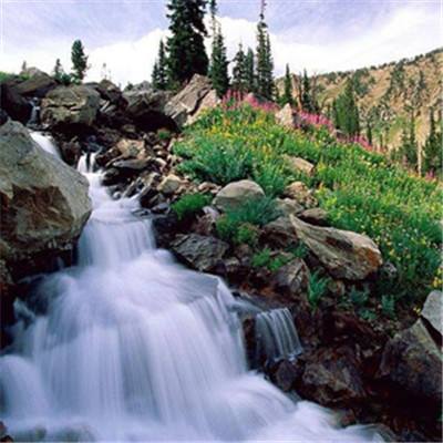 BSport·APP在线登录手机app下载